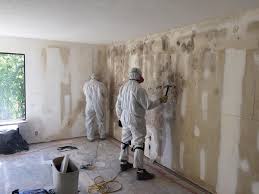 Best Environmental Consulting for Mold Prevention  in Le Roy, IL